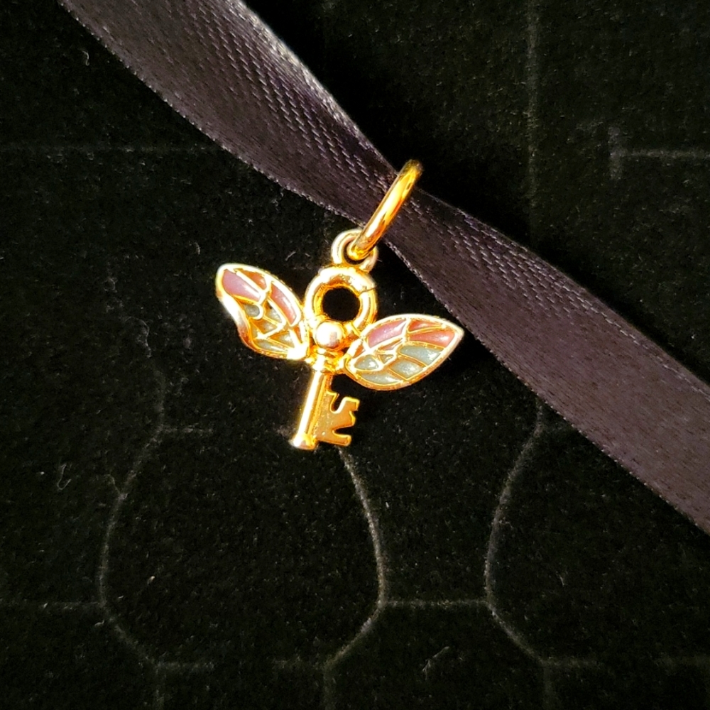 Winged key charm